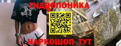 a pvp Дубна