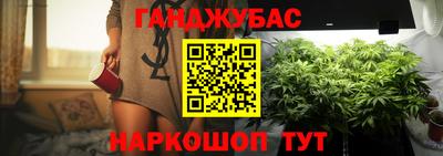 крисы Донской