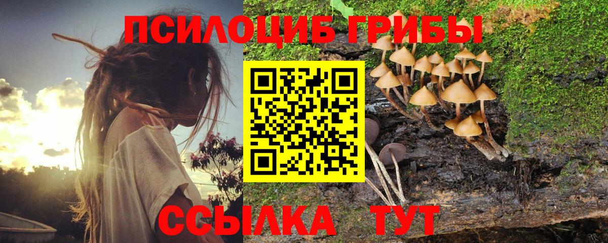 Галлюциногенные грибы ЛСД Донецк