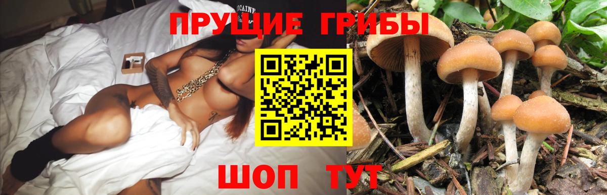 Галлюциногенные грибы MAGIC MUSHROOMS  Вход с VPN  Галлюциногенные грибы прущие грибы  Донецк 